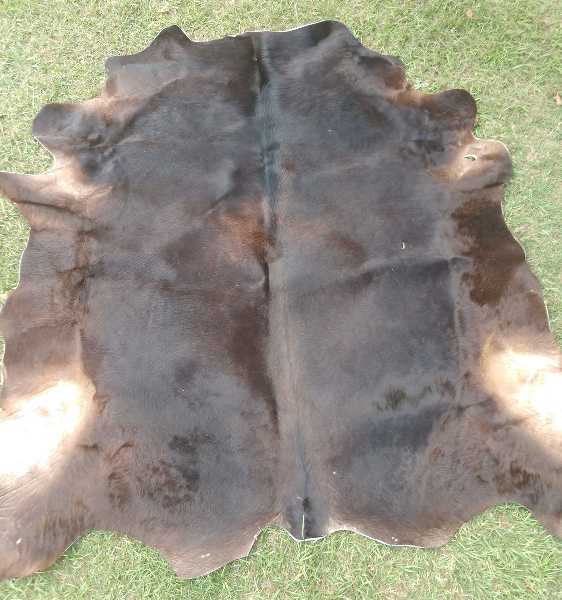 Cowhide #22 – Arrowhead Beef