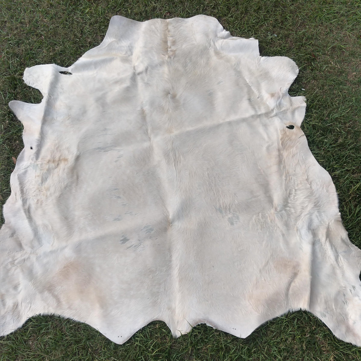 Cowhide #23 – Arrowhead Beef